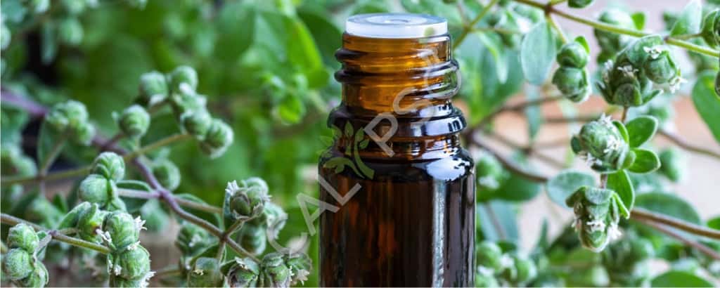 Marjoram prezzo olio essenziale